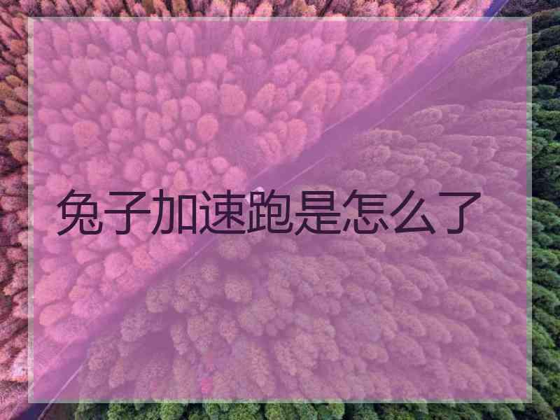 兔子加速跑是怎么了