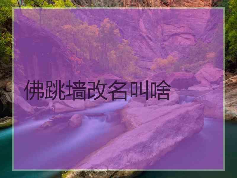 佛跳墙改名叫啥