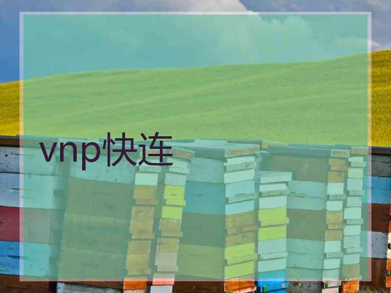 vnp快连