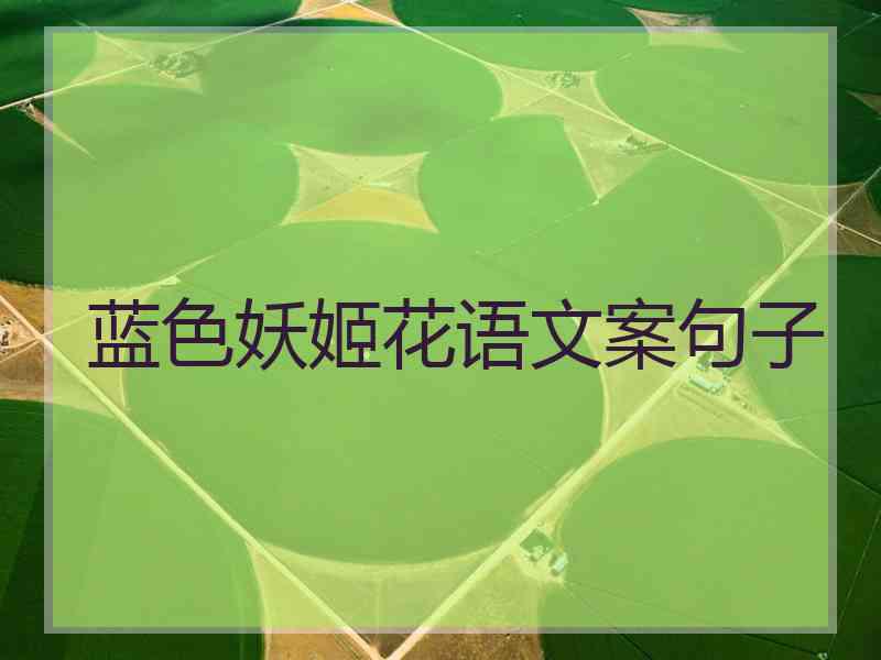 蓝色妖姬花语文案句子