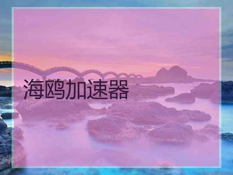 海鸥加速器