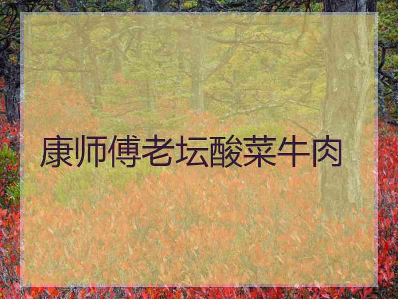 康师傅老坛酸菜牛肉