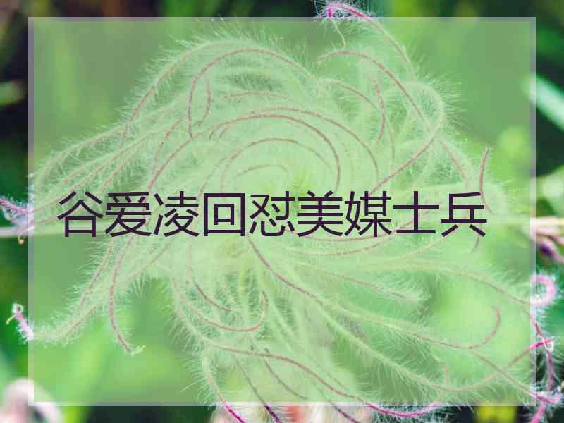 谷爱凌回怼美媒士兵