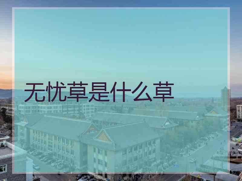 无忧草是什么草