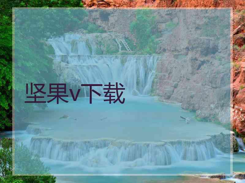 坚果v下载