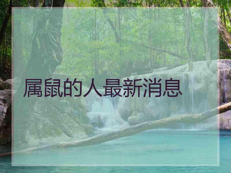 属鼠的人最新消息