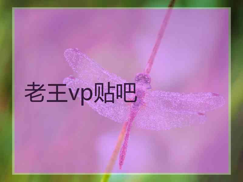 老王vp贴吧