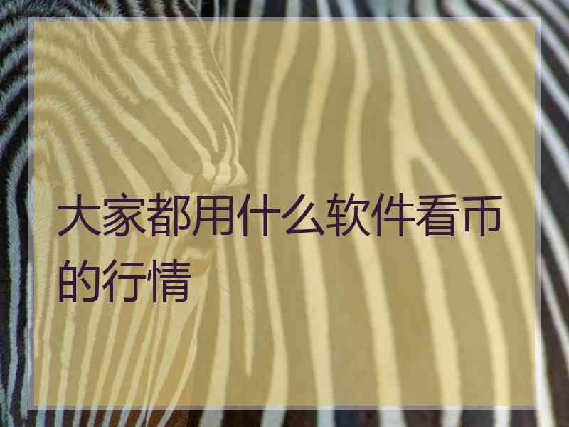 大家都用什么软件看币的行情