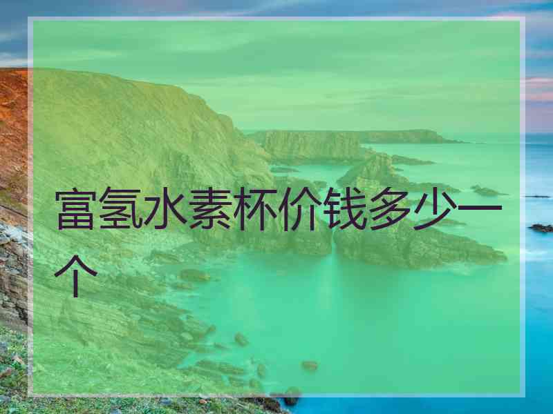 富氢水素杯价钱多少一个