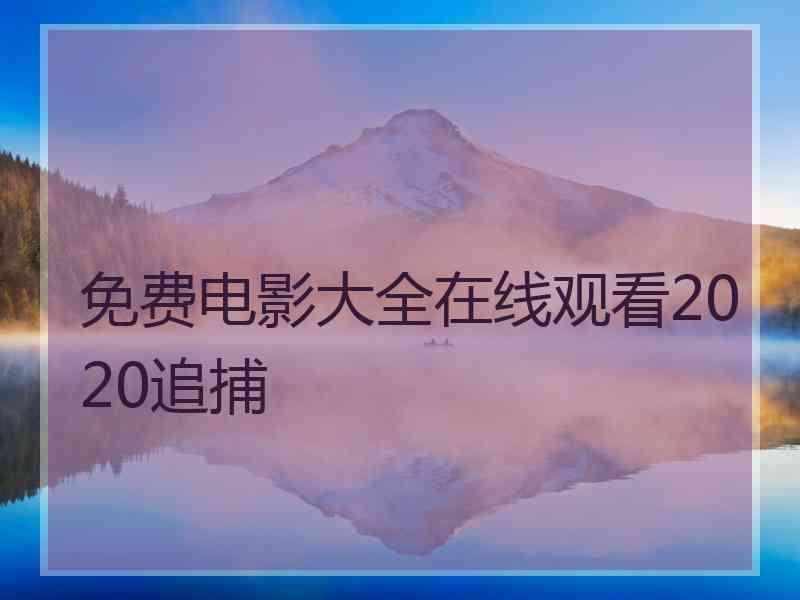 免费电影大全在线观看2020追捕