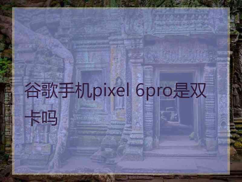 谷歌手机pixel 6pro是双卡吗