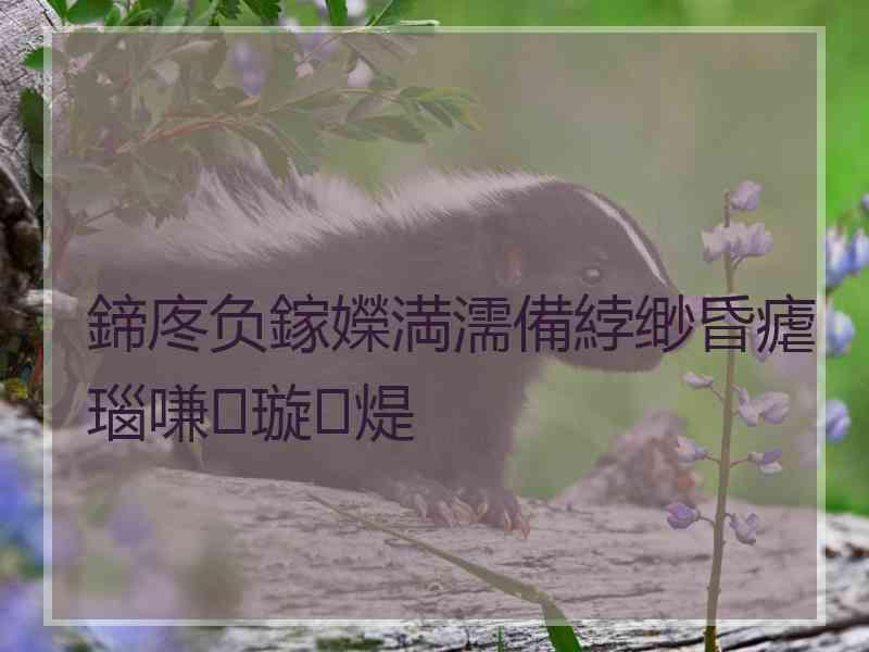 鍗庝负鎵嬫満濡備綍缈昏瘧瑙嗛璇煶