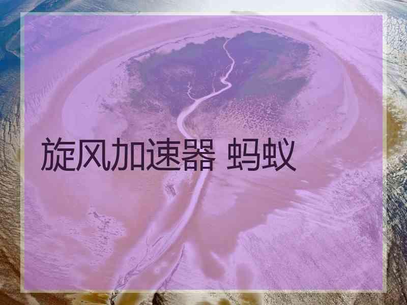 旋风加速器 蚂蚁