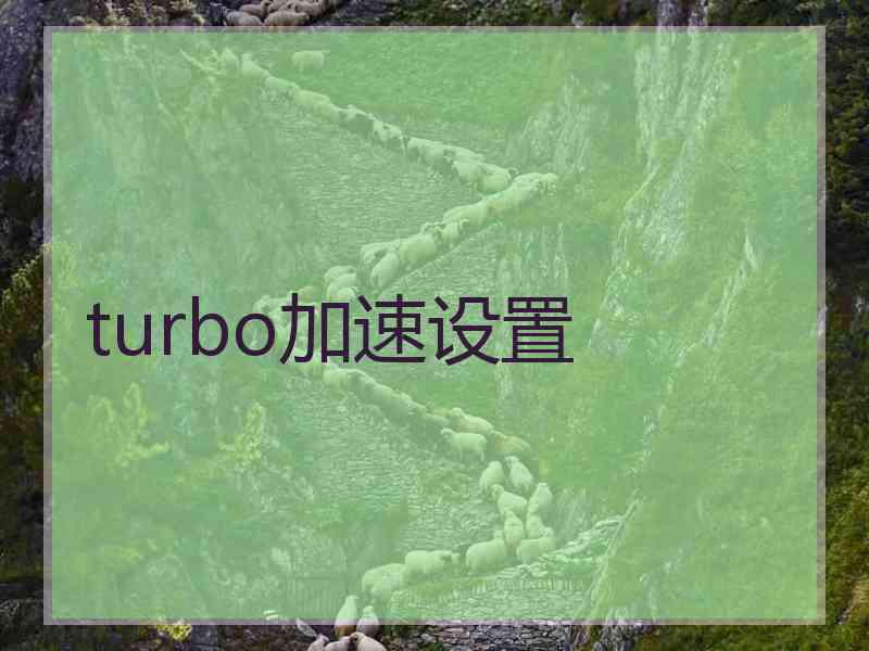turbo加速设置