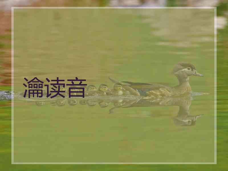 瀹读音