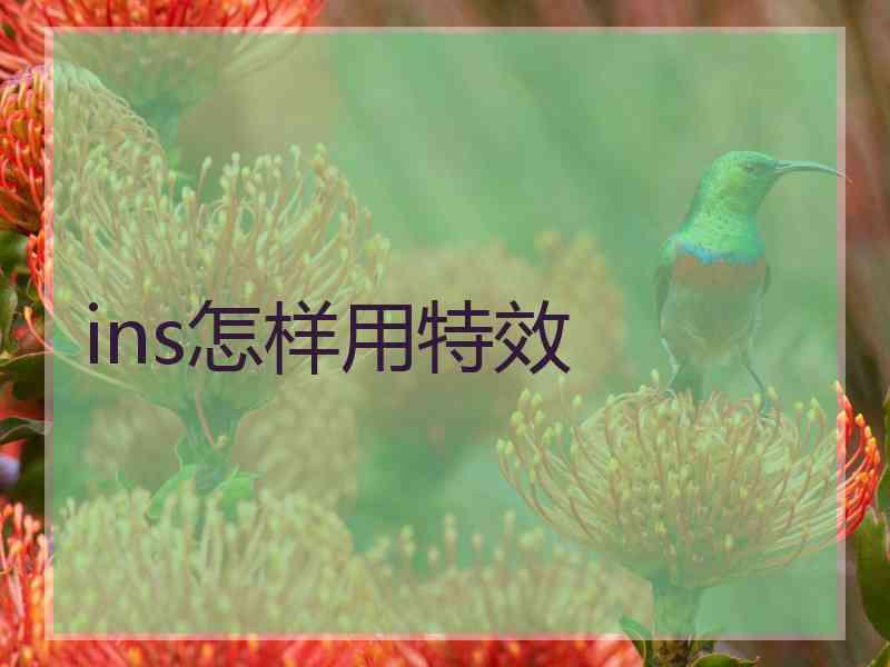 ins怎样用特效
