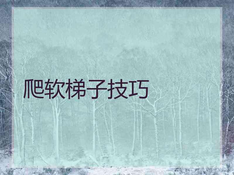爬软梯子技巧