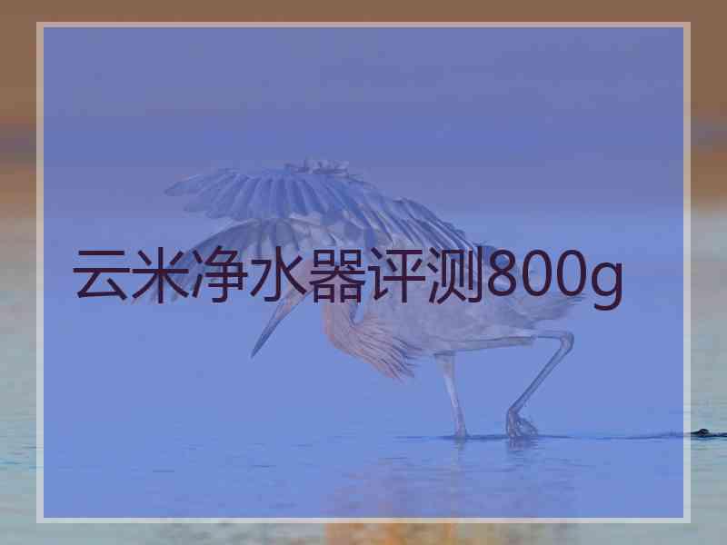 云米净水器评测800g