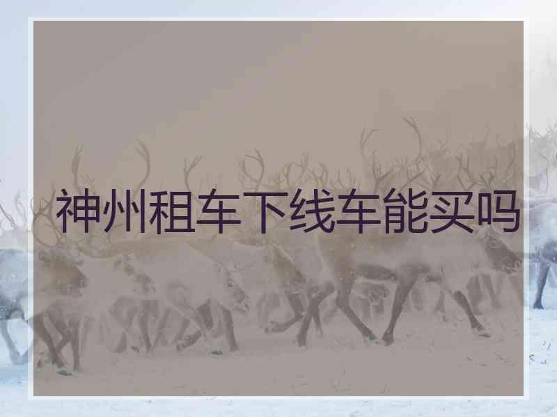 神州租车下线车能买吗