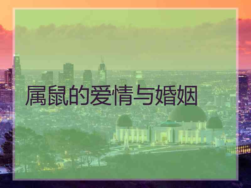 属鼠的爱情与婚姻
