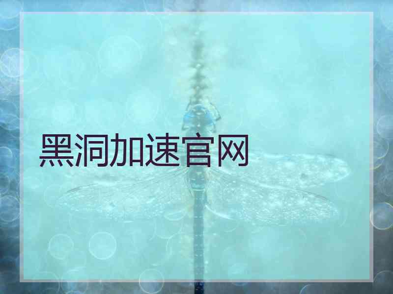 黑洞加速官网