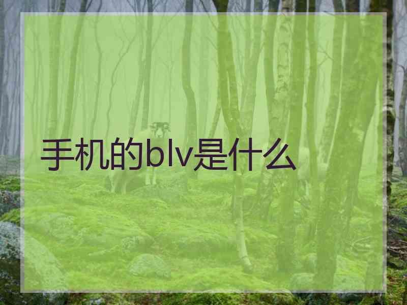 手机的blv是什么