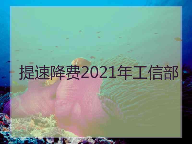 提速降费2021年工信部