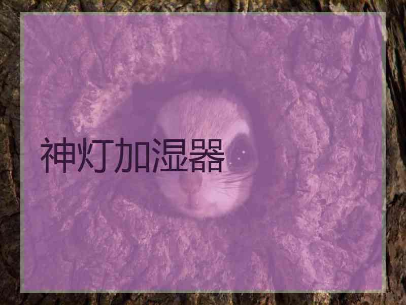 神灯加湿器