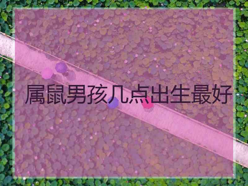 属鼠男孩几点出生最好