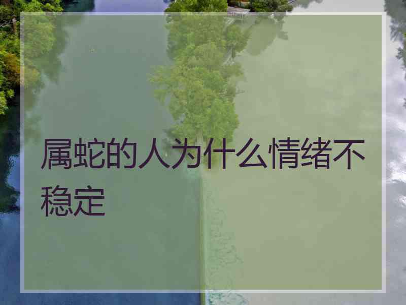 属蛇的人为什么情绪不稳定