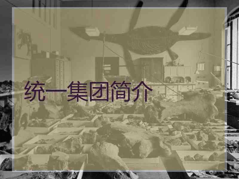 统一集团简介