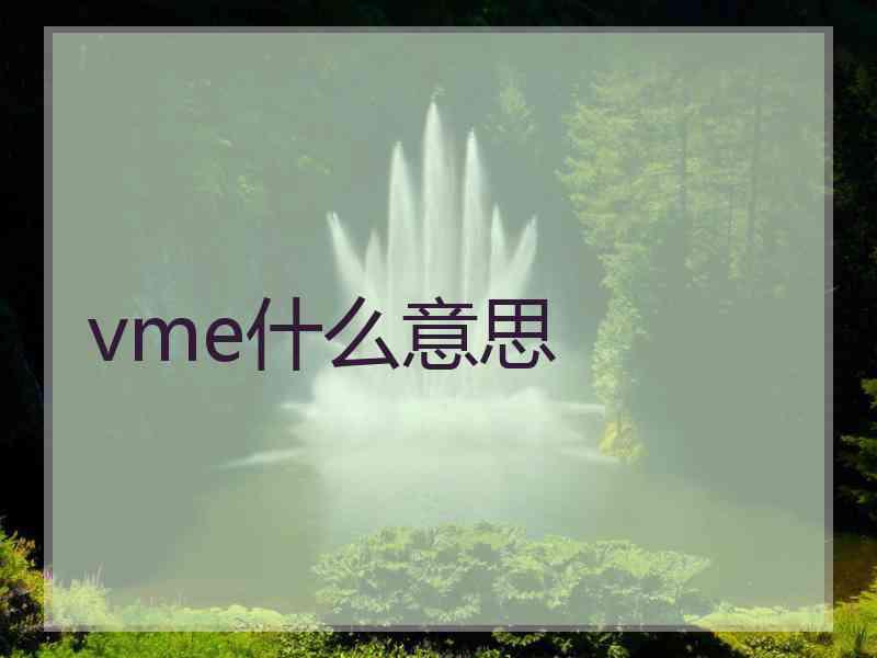 vme什么意思
