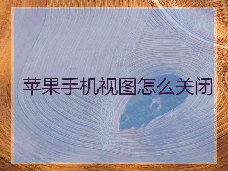 苹果手机视图怎么关闭