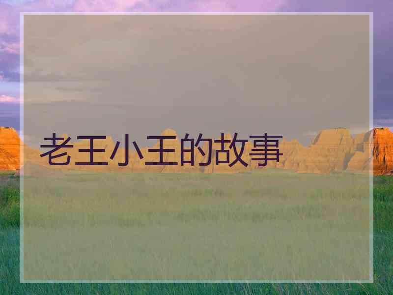 老王小王的故事