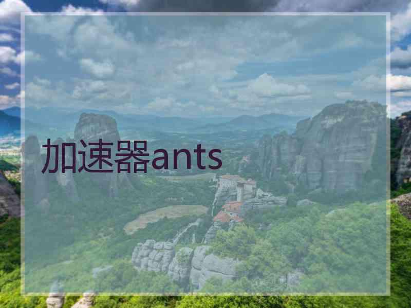 加速器ants