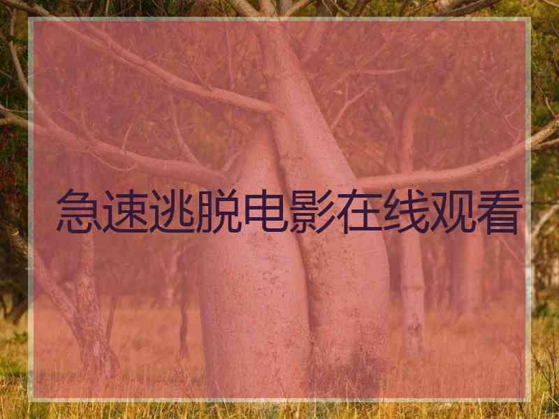 急速逃脱电影在线观看