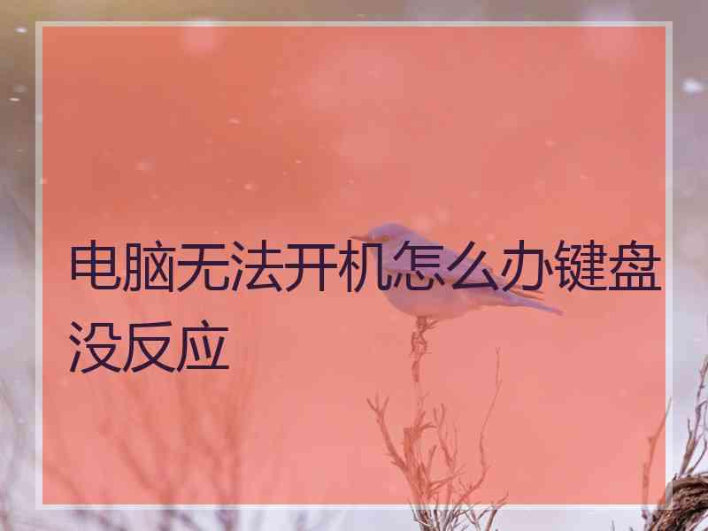 电脑无法开机怎么办键盘没反应