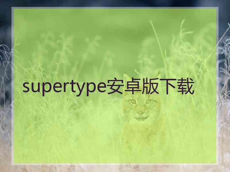 supertype安卓版下载