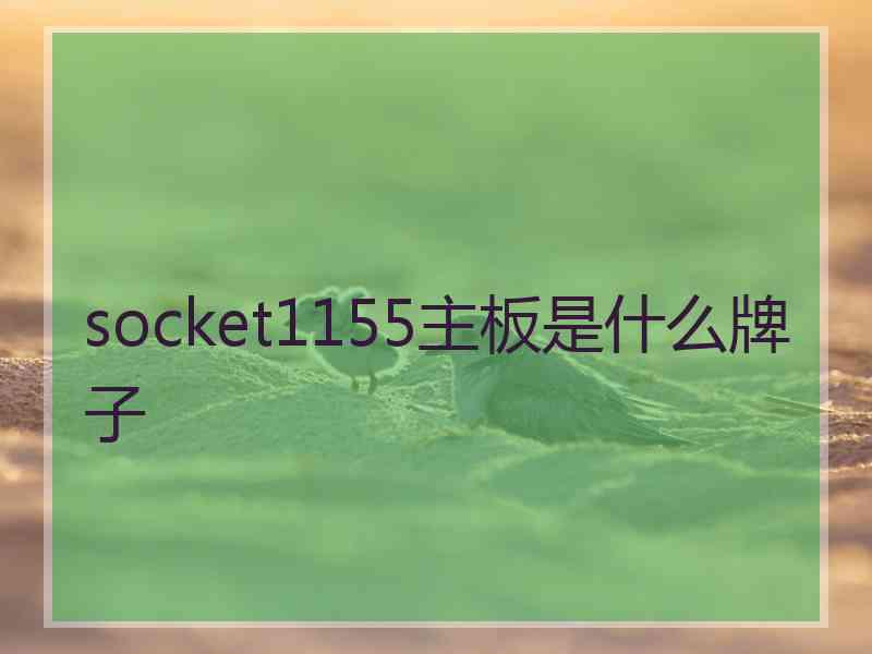 socket1155主板是什么牌子