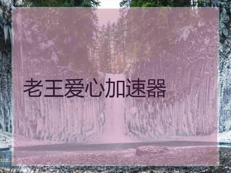老王爱心加速器