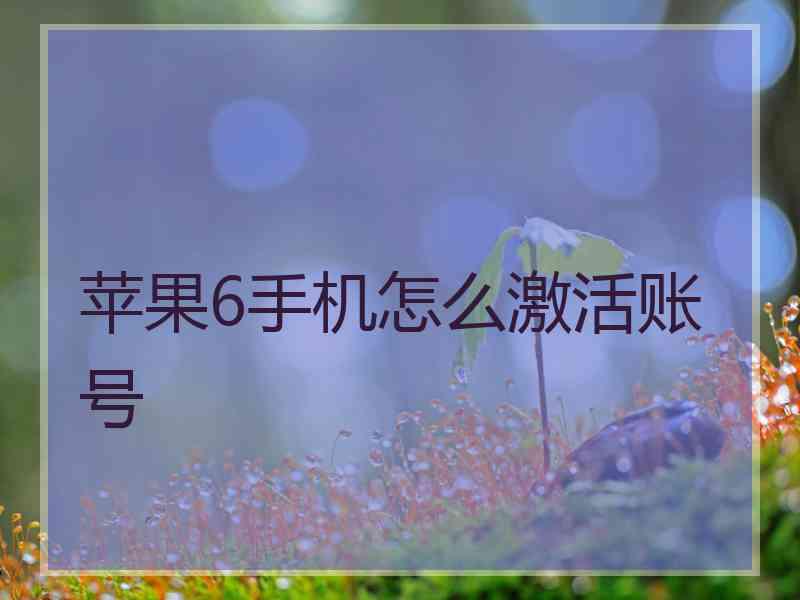 苹果6手机怎么激活账号