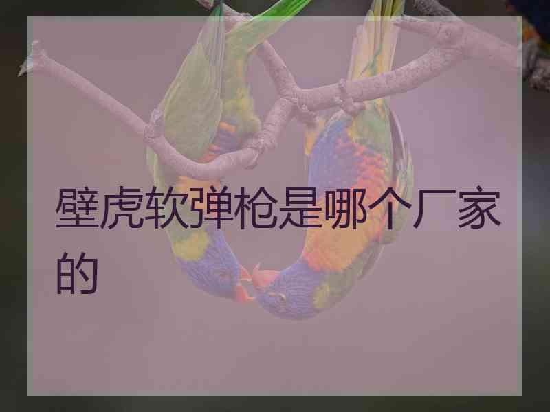 壁虎软弹枪是哪个厂家的