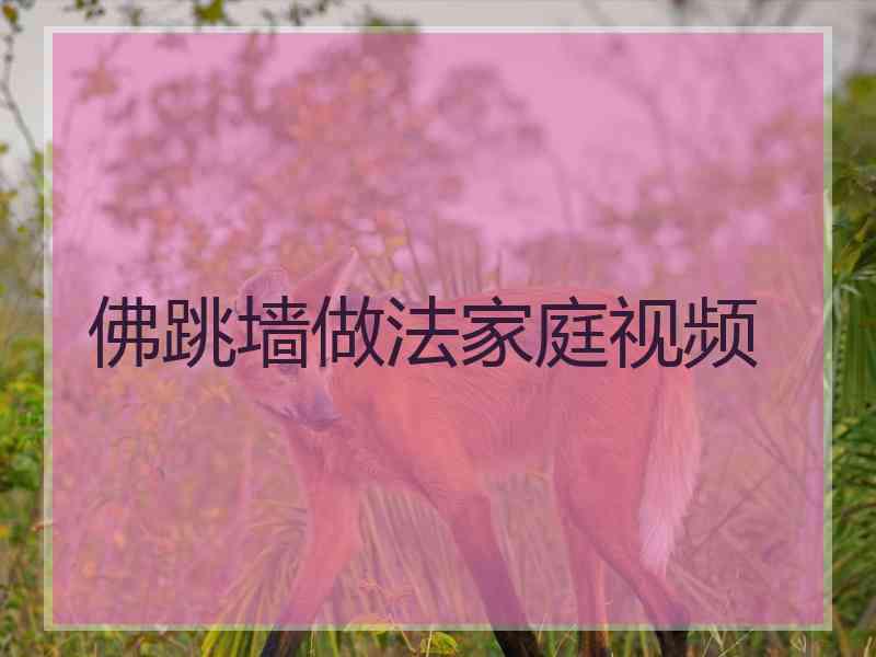 佛跳墙做法家庭视频