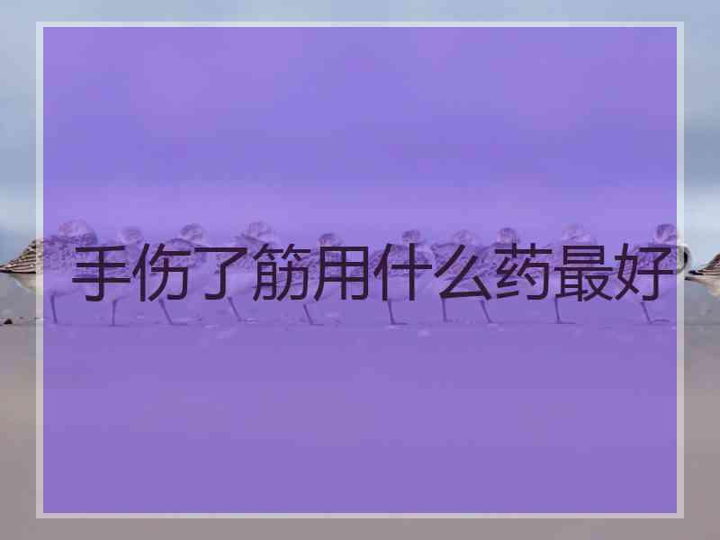 手伤了筋用什么药最好