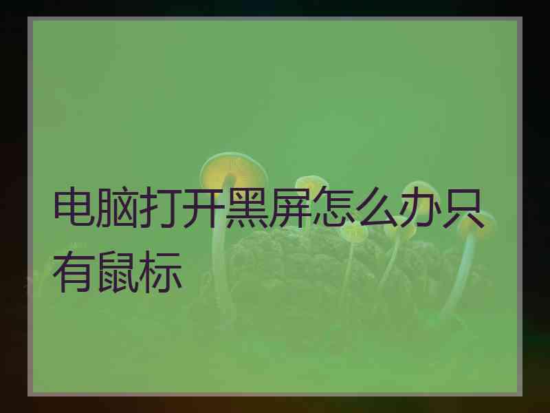电脑打开黑屏怎么办只有鼠标