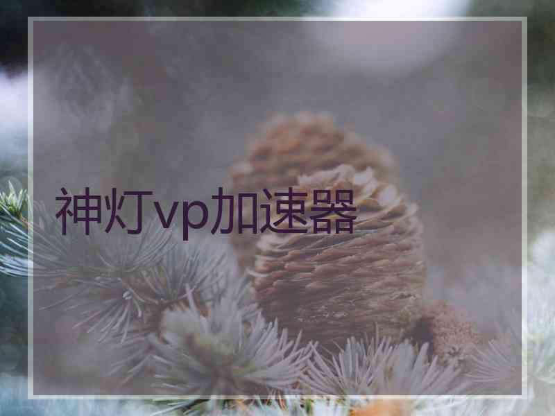 神灯vp加速器