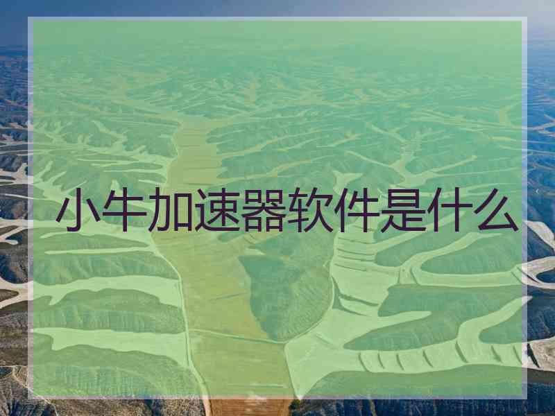 小牛加速器软件是什么