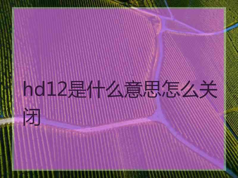 hd12是什么意思怎么关闭