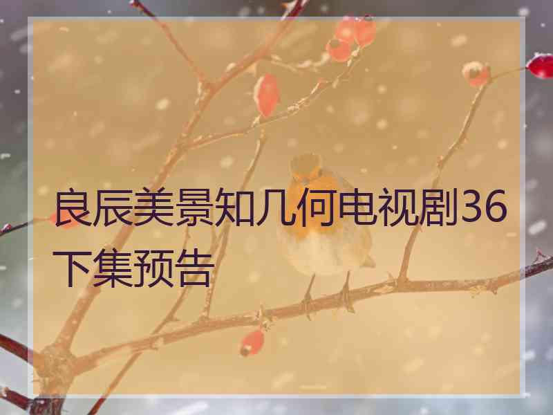 良辰美景知几何电视剧36下集预告