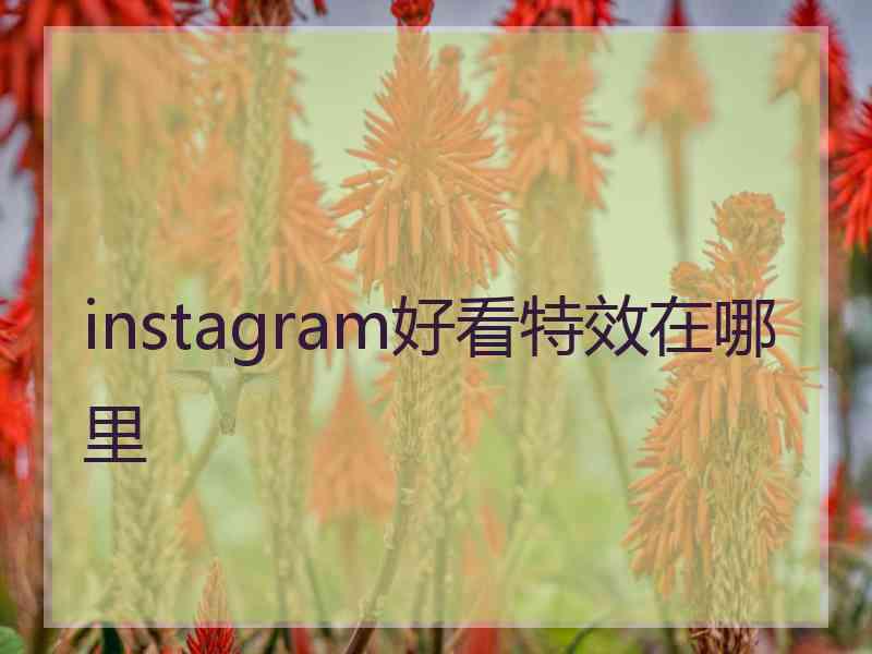 instagram好看特效在哪里